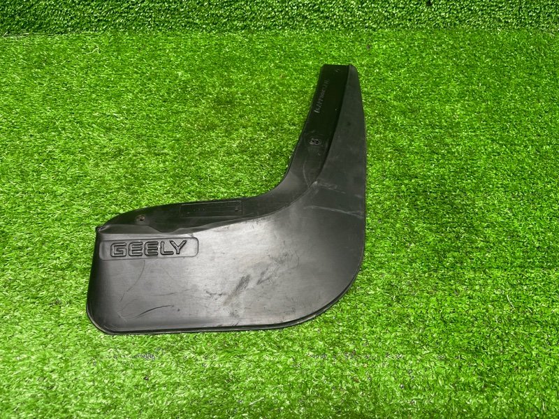 Брызговик, 1000 рублей, Москва