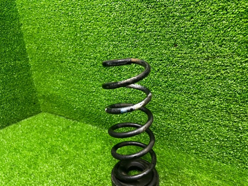 Пружина задняя, 1000 рублей, Москва