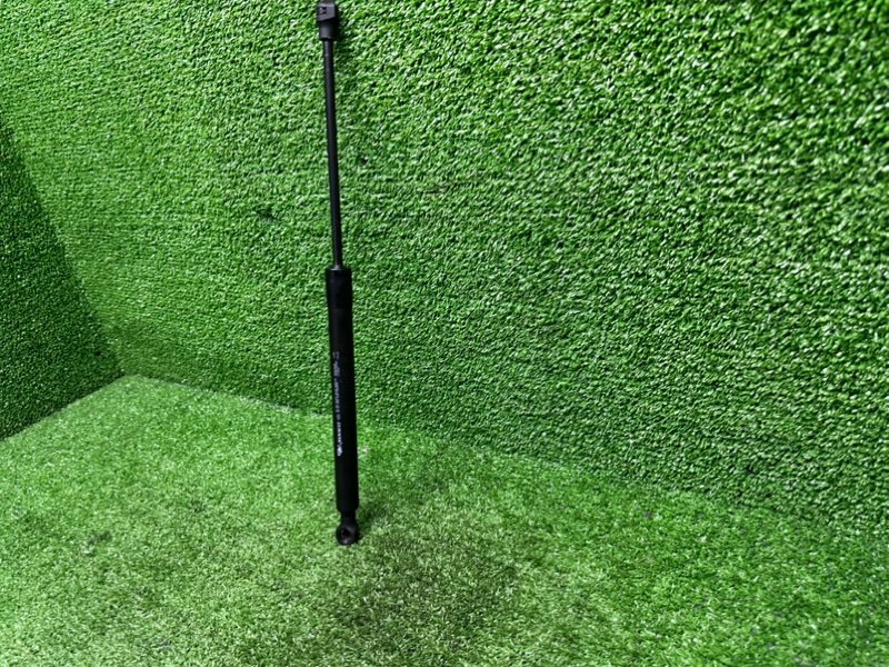 Амортизатор двери багажника, 650 рублей, Москва