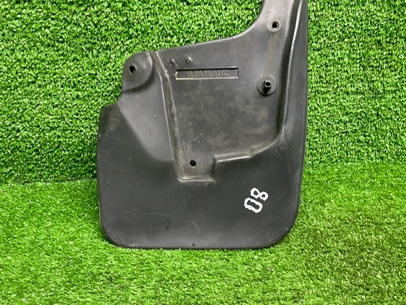 Брызговик, 1000 рублей, Москва