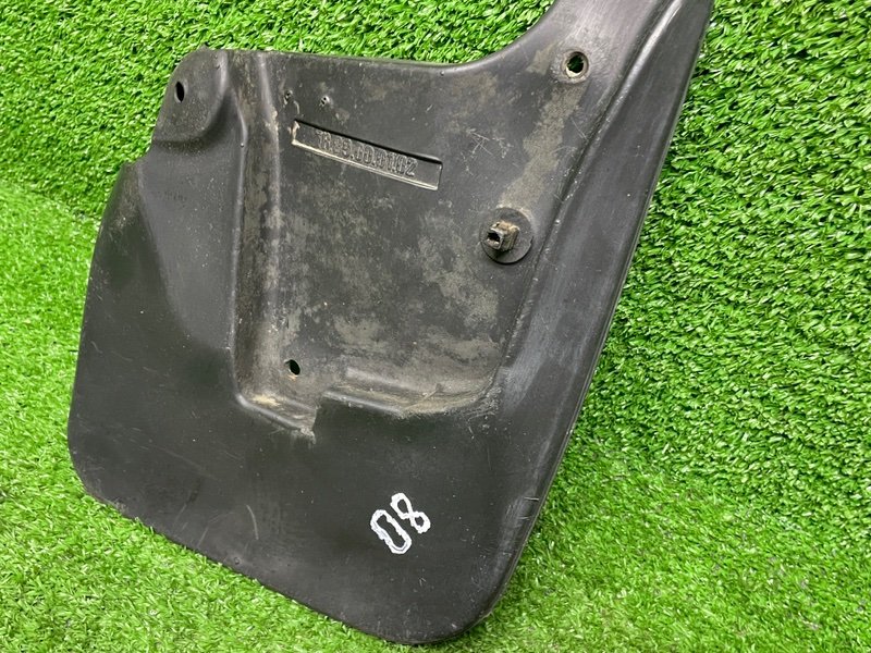 Брызговик, 1000 рублей, Москва