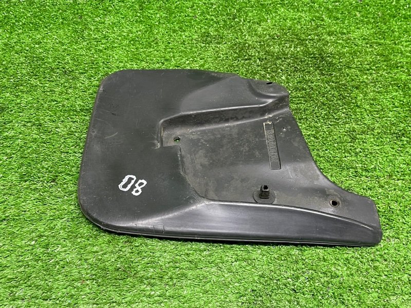 Брызговик, 1000 рублей, Москва