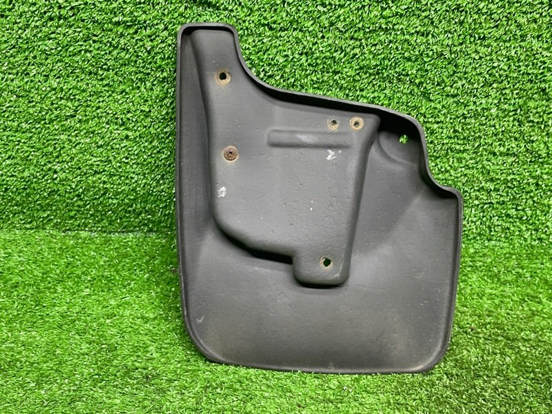 Брызговик, 1000 рублей, Москва