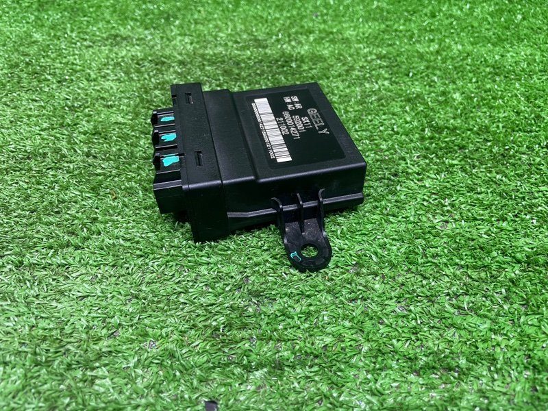 Блок управления парктроником, Москва