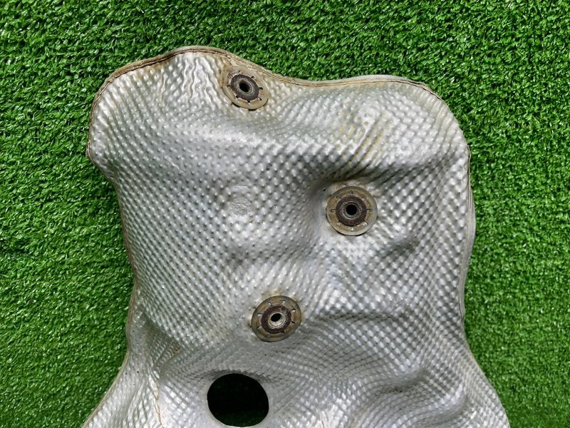 Тепловой экран, Москва