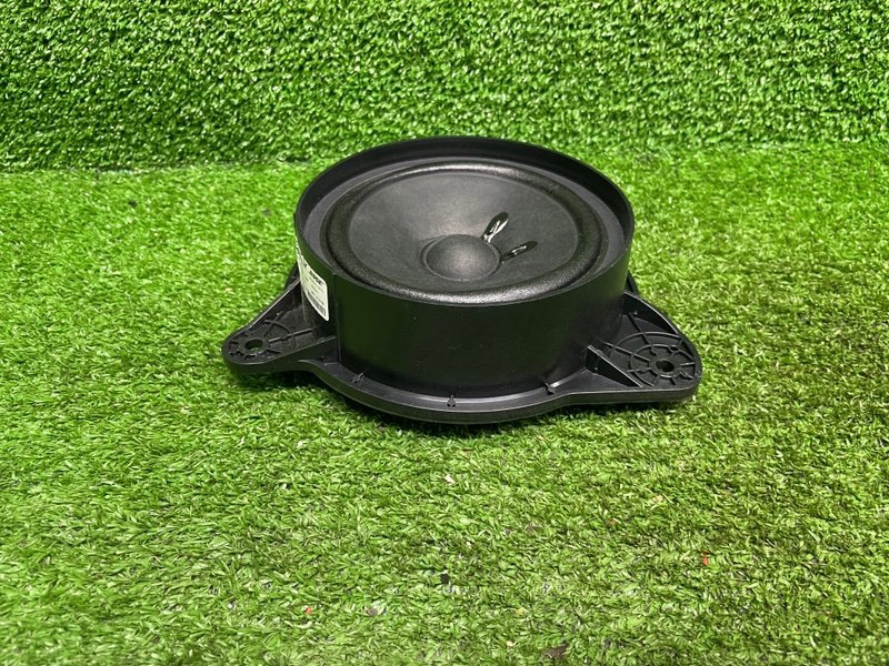 Динамик, Москва