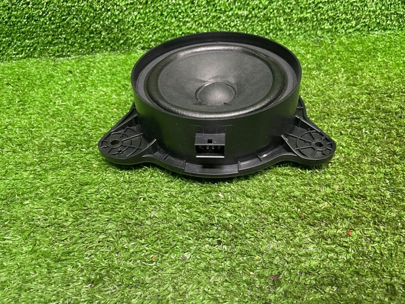 Динамик, Москва