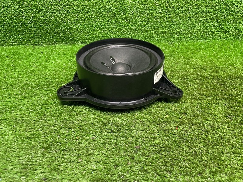 Динамик, Москва