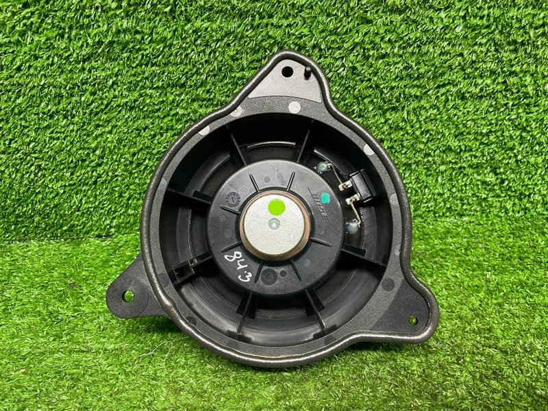 Динамик, Москва