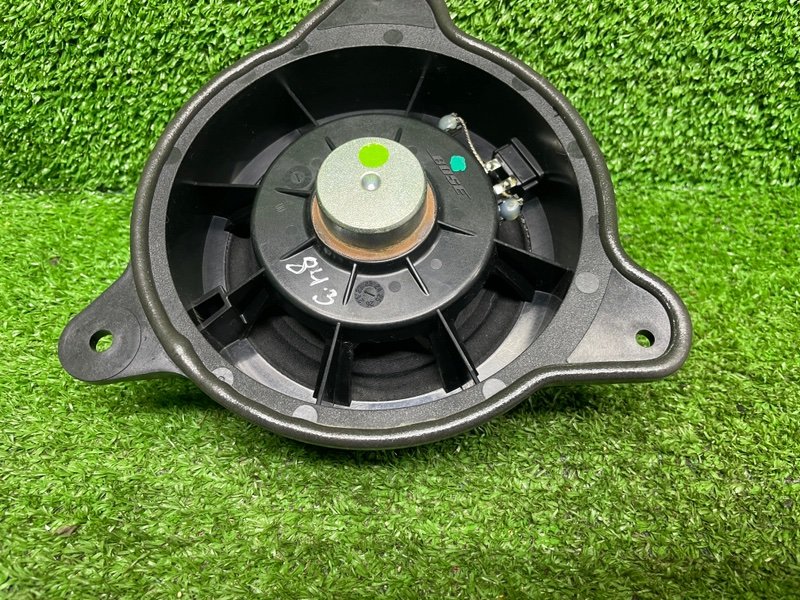 Динамик, Москва