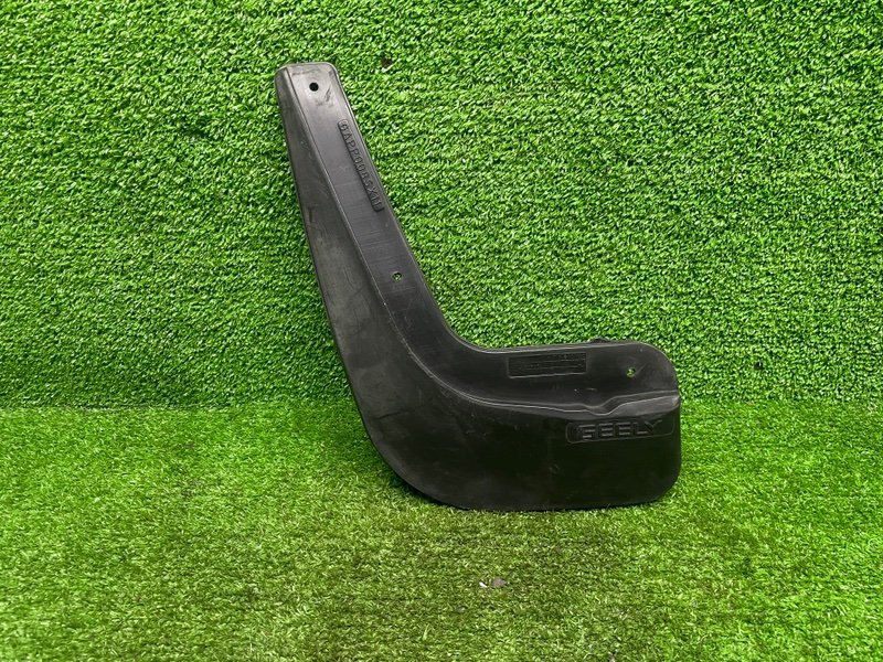 Брызговик, 1000 рублей, Москва