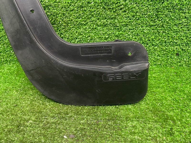 Брызговик, 1000 рублей, Москва