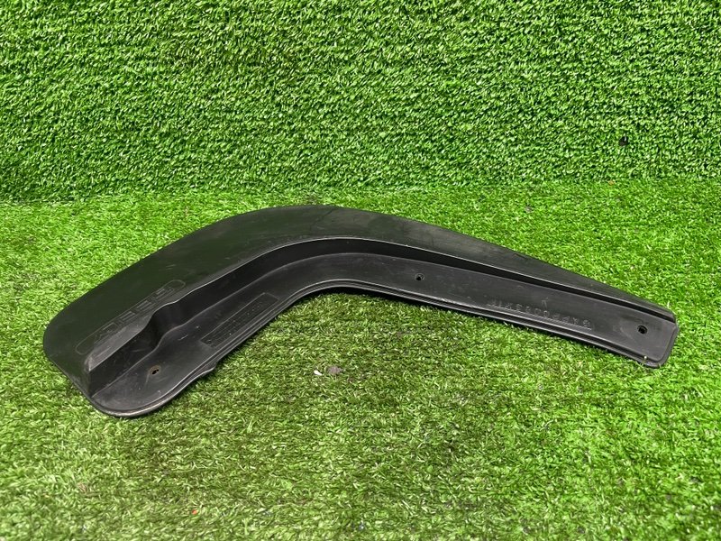 Брызговик, 1000 рублей, Москва