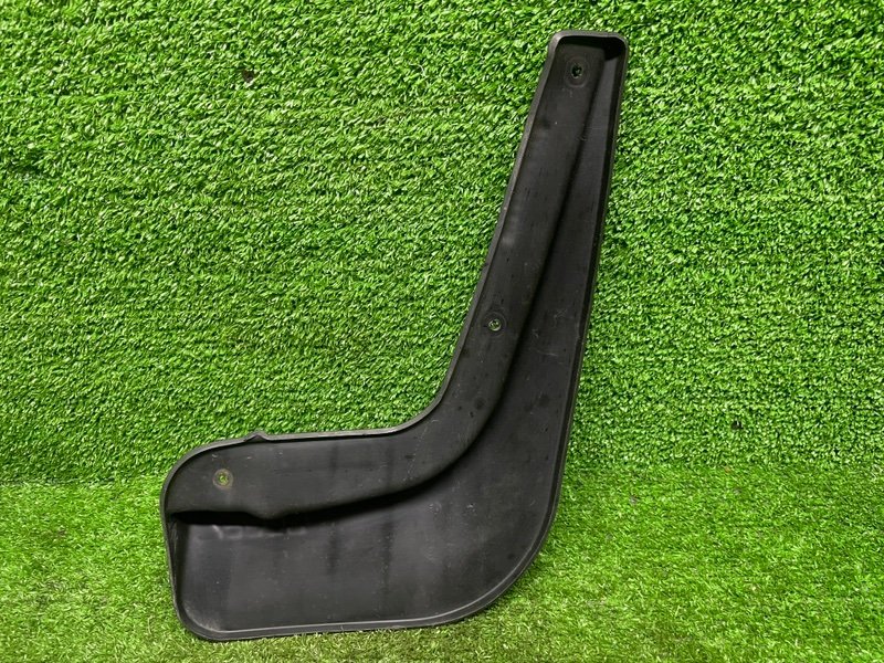 Брызговик, 1000 рублей, Москва