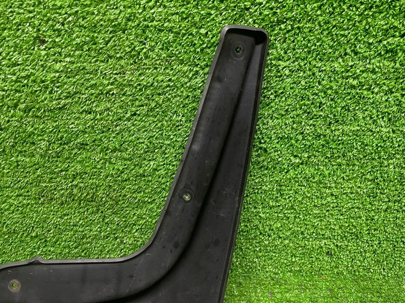 Брызговик, 1000 рублей, Москва