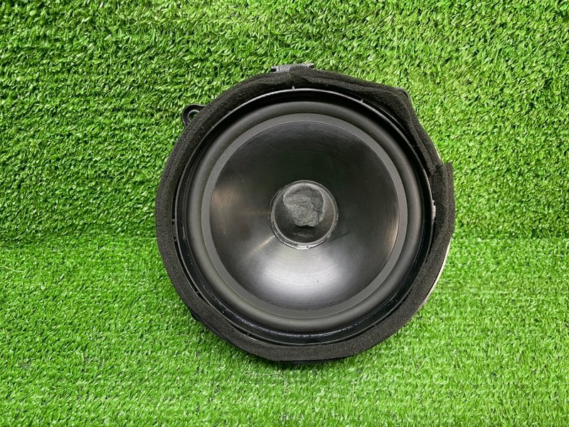 Динамик, Москва