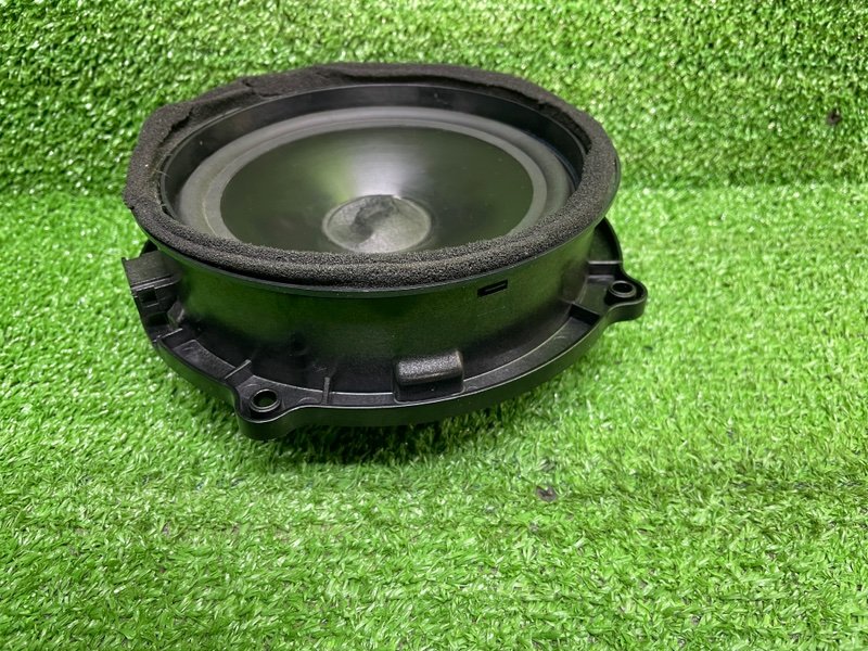 Динамик, Москва