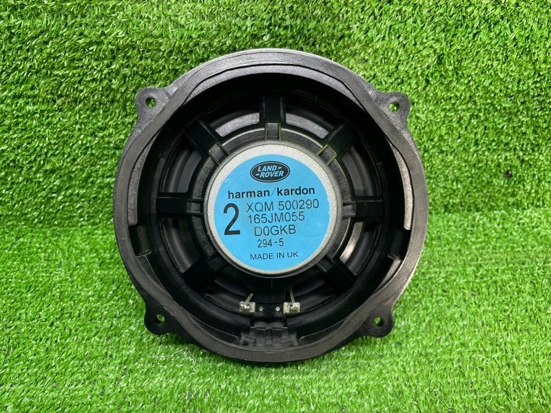 Динамик, Москва