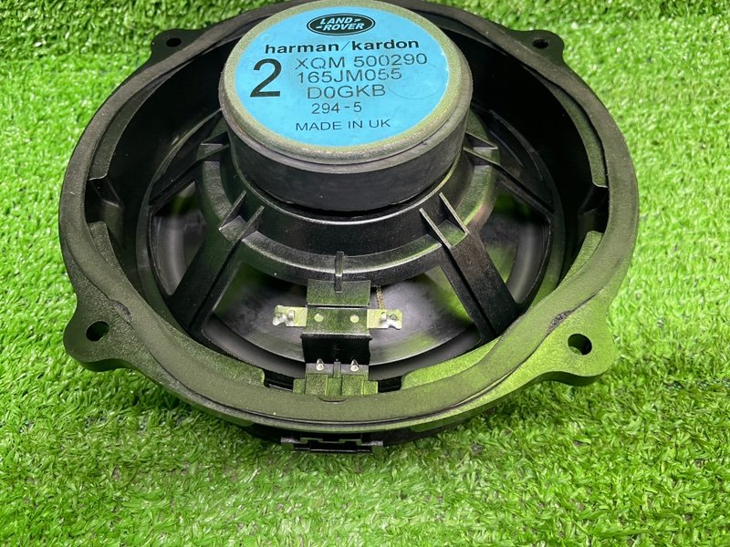 Динамик, Москва