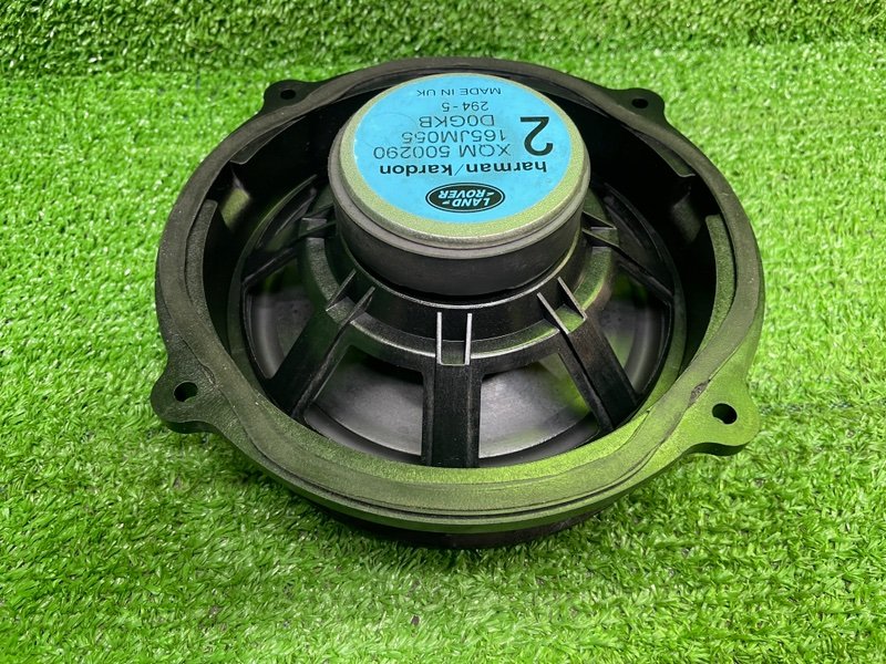 Динамик, Москва