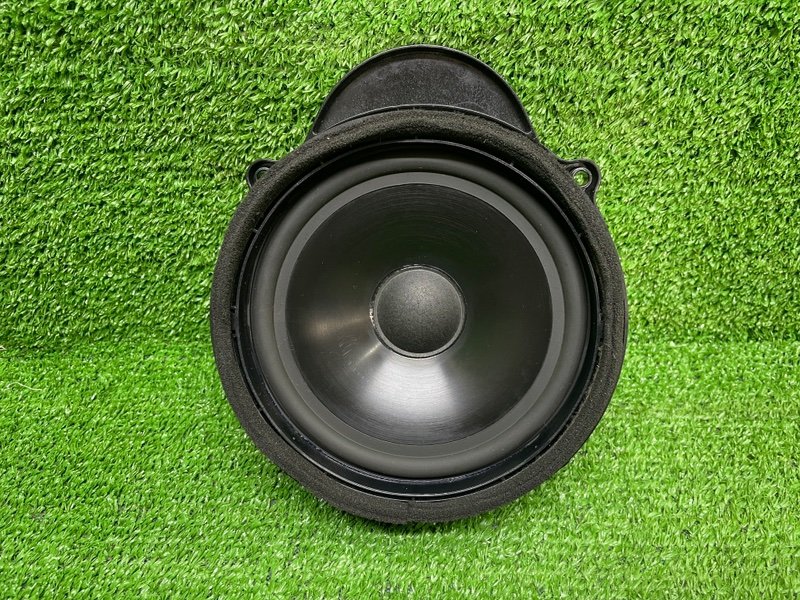 Динамик, Москва