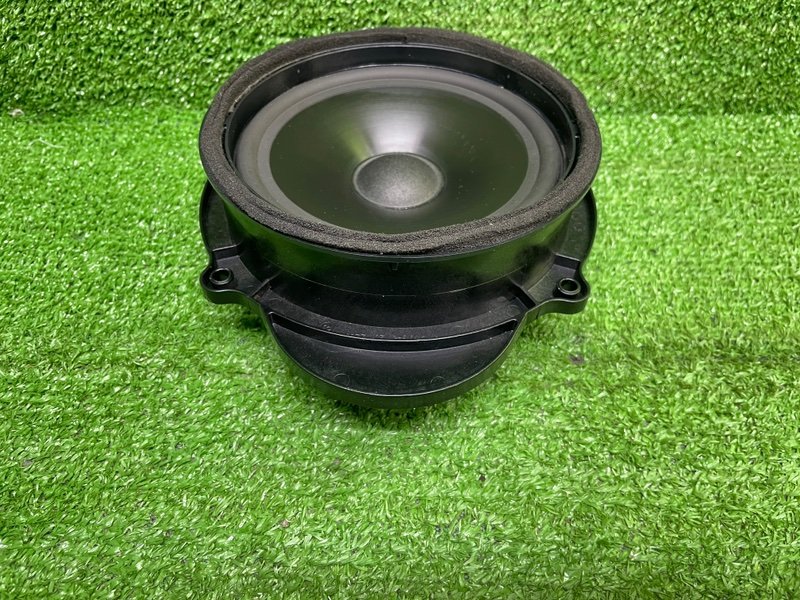 Динамик, Москва