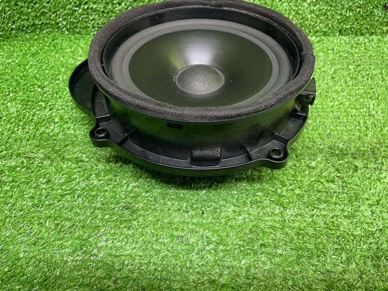 Динамик, Москва