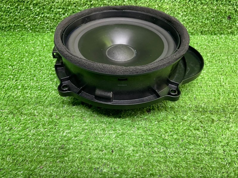 Динамик, Москва