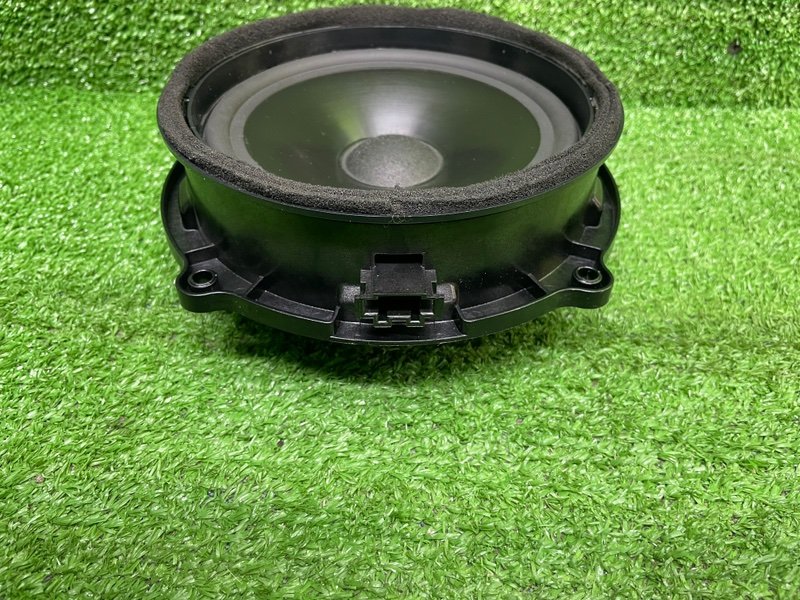 Динамик, Москва