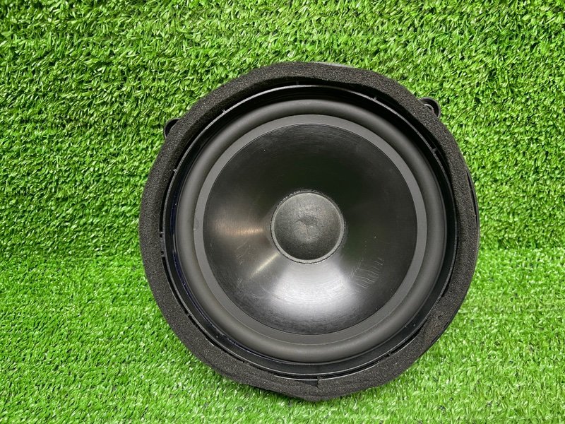 Динамик, Москва