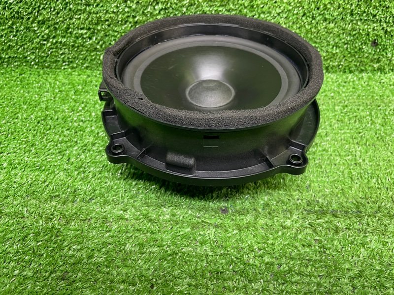 Динамик, Москва