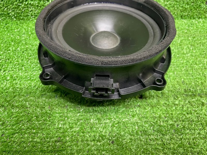 Динамик, Москва