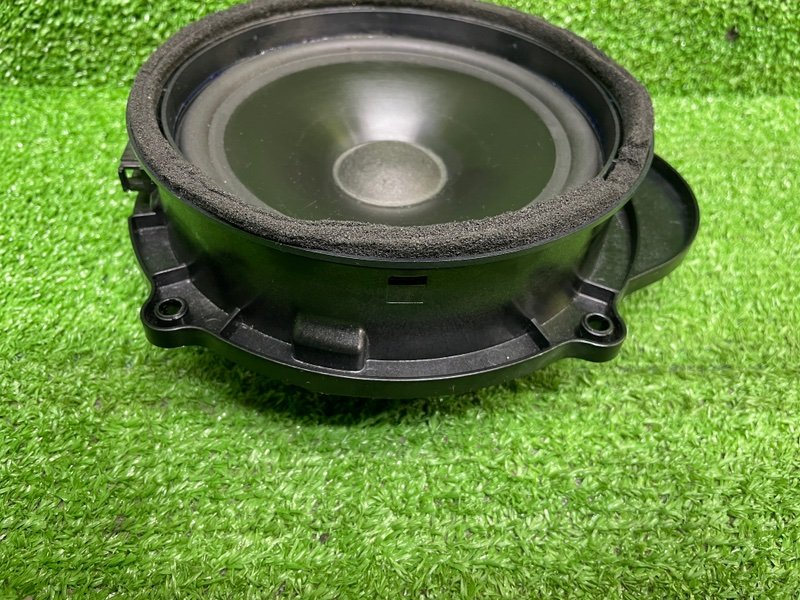 Динамик, Москва