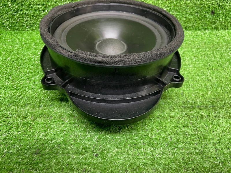 Динамик, Москва