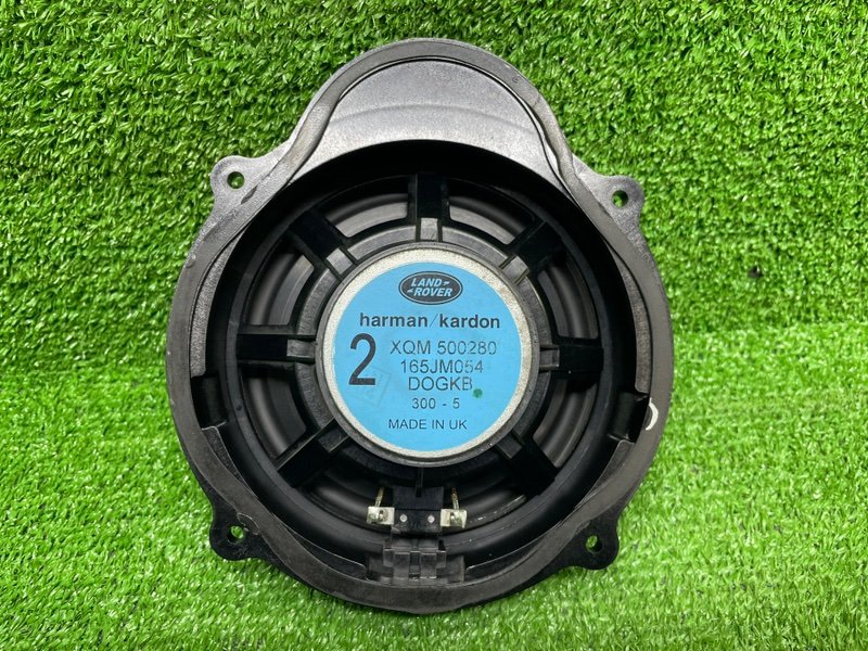 Динамик, Москва