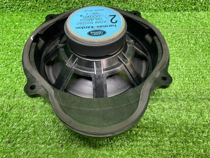 Динамик, Москва