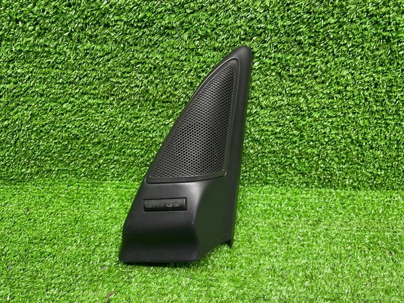 Крышка зеркала, Москва