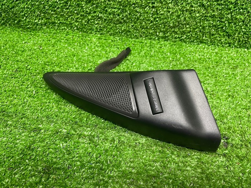 Крышка зеркала, Москва