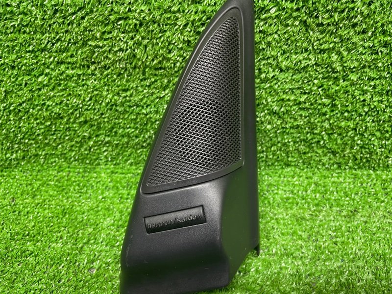 Крышка зеркала, Москва