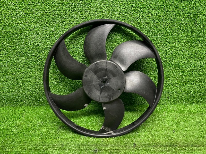 Крыльчатка, 1000 рублей, Москва