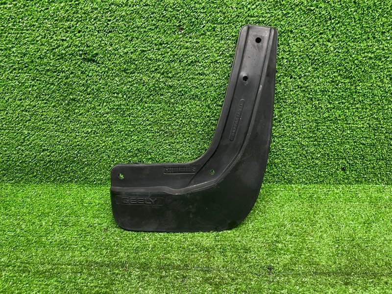 Брызговик, 1000 рублей, Москва