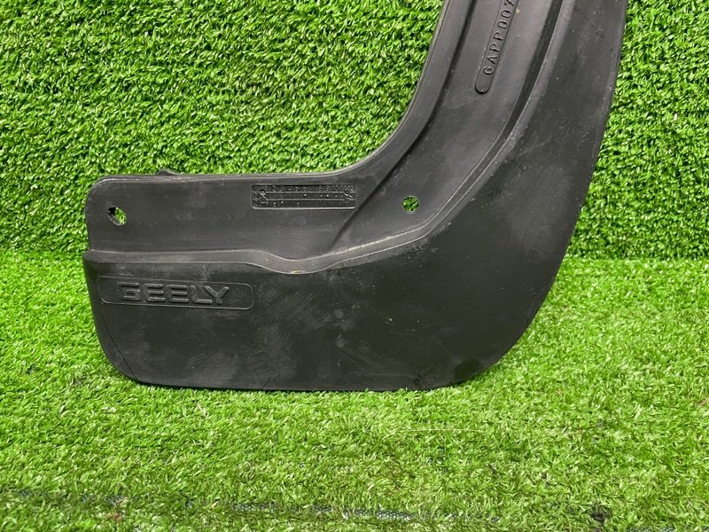 Брызговик, 1000 рублей, Москва