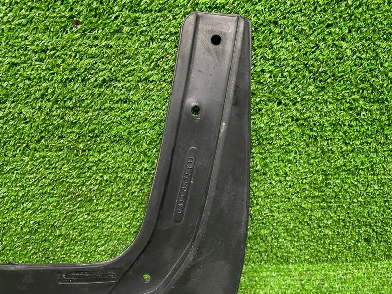 Брызговик, 1000 рублей, Москва