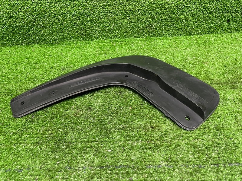 Брызговик, 1000 рублей, Москва