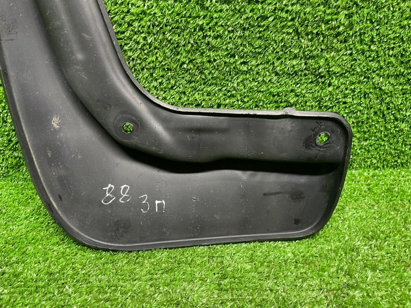 Брызговик, 1000 рублей, Москва