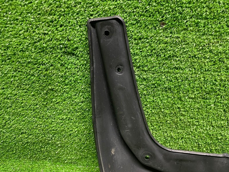 Брызговик, 1000 рублей, Москва