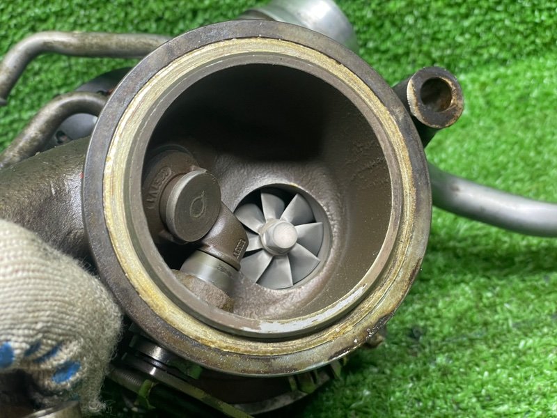 Турбина, 30000 рублей, Москва