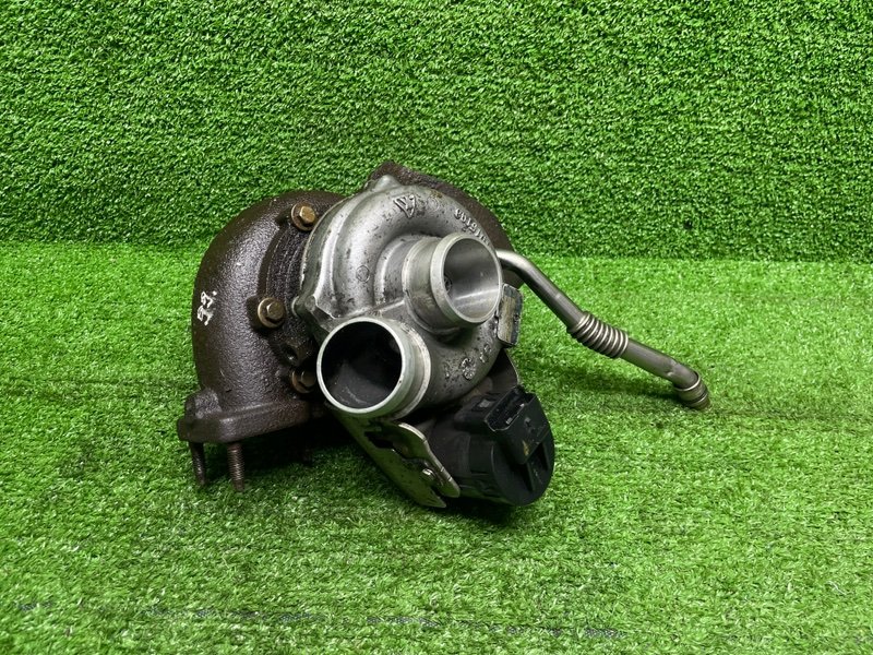 Турбина, 12000 рублей, Москва