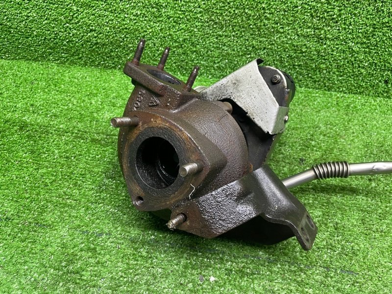 Турбина, 12000 рублей, Москва