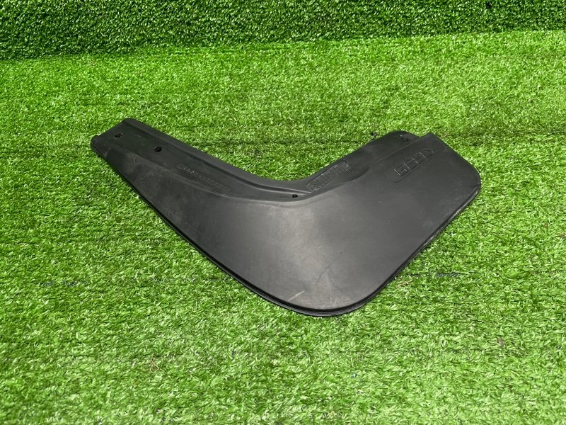 Брызговик, 1000 рублей, Москва